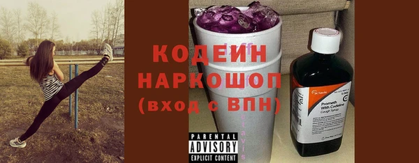 дживик Няндома