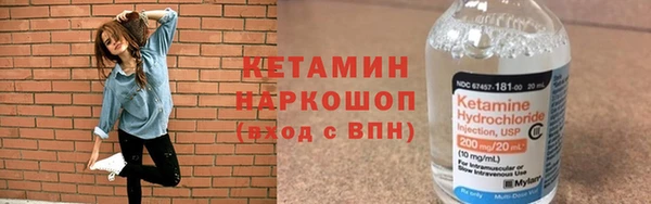 дживик Няндома