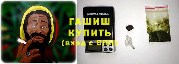 дживик Няндома
