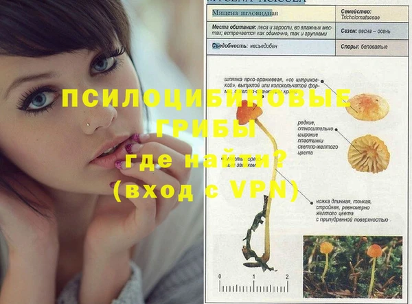 твердый Аркадак