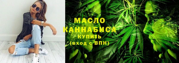 дживик Няндома