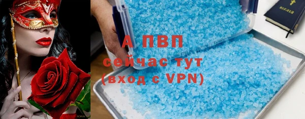 экстази Арсеньев