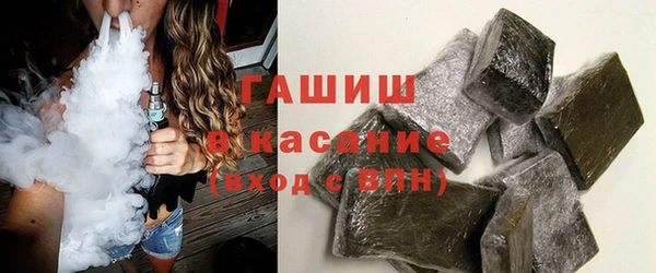 дживик Няндома