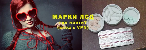 дживик Няндома
