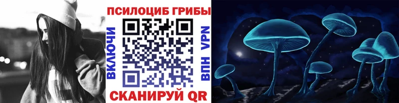 хочу   Светлогорск  Псилоцибиновые грибы Magic Shrooms 